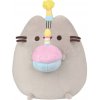 Aurora Plyšová mačička Pusheen narodeninová - Pusheen - 26 cm