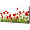 Foto obraz na plátne Maky 100x50 cm