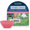 YANKEE CANDLE Vonný vosk ART IN THE PARK 22g