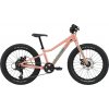Cannondale Kids Trail Plus 20
