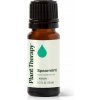 Plant Therapy Kidsafe Spearmint esenciálny olej pre deti 10 ml
