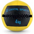 Capital Sports wallbag 4 kg