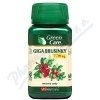 VitaHarmony Giga Brusinky 7.700 mg tbl.60