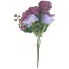 Peonie kytica 