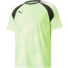 Puma teamLIGA Graphic Jersey dres 658297 51