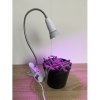 BASIC LED GROW lampa na všetky rastliny (E27) 3W