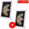 Akcia 1+1: Akrylový fotorámik KARPEX 15x20cm výška + druhý rovnaký fotorámik zdarma