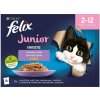 Felix® Fantastic Junior lahodný výber 12 x 85 g