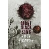 Burnt Black Suns