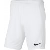 Nike pánske športové šortky pred koleno BV6855 veľkosť L
