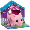 Furreal Friends My Minis Piggy