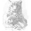 ZUTY Bodkovanie - LEOPARD SNĚŽNÝ S MLÁĎATKOM Rámovanie: vypnuté plátno na rám, Rozmer: 80x100 cm