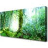 Obraz na plátne Les príroda 100x50 cm