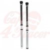 Ohlins Fork Cartridges pre R9T Roadster NIX30S (2014-2016)