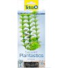 TETRA Rastlina Ambulia S 15 cm (1ks)