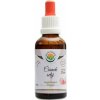 Salvia Paradise Česnek setý AF tinktura Allium sativum 50 ml