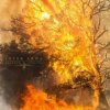 Inter Arma - Sulphur English [CD]