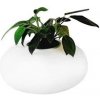 Stolní lampa s držákem na umělé květiny Azzardo Flora AZ0185 E27 1x11W IP20 45cm bílá