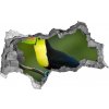 Diera 3D fototapeta na stenu nálepka Tukan 95x73 cm