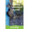 E-kniha Příběhy pražských dvorků - Petr Sojka