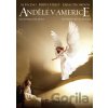 Andělé v Americe DVD