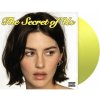Abrams Gracie: Secret Of Us (Coloured Yellow Vinyl) - Vinyl (LP)