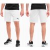 Puma TEAMRISE SHORT