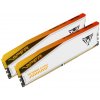 Patriot Viper Elite 5 TUF/DDR5/32GB/6600MHz/CL34/2x16GB/RGB/White (PVER532G66C34KT)