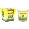 ARÔME Vonná sviečka v skle 120 g Citronella