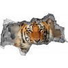 Diera 3D foto tapeta nálepka Tiger bengálsky 95x73 cm