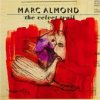 Almond Marc - Velvet Trail / CD+DVD [CD / DVD]