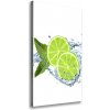 Vertikálny moderný obraz canvas na ráme Limetky 50x100 cm