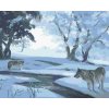 Zuty – Maľovanie podľa čísel – Vlci pri rieke v zime (D. Rusty Rust), 80 × 100 cm, plátno + rám 8596530189671