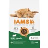 IAMS granuly pre dospelé mačky jahňa 10kg