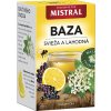 Mistral Baza ovocný čaj 40g