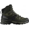 Salomon Quest 4 GTX zelené