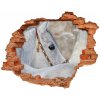 Foto fotografie diera na stenu Biela arabský kôň 90x70 cm
