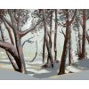 zuty Zuty - Maľovanie Podľa Čísel - Snežná Sova A Les V Zime (D. Rusty Rust), 80X100 Cm, Plátno (8596530185666)