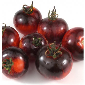 Bio semená paradajky Black Zebra - Solanum lycopersicum - predaj semien  rajčiaka - 7 ks od 3,86 € - Heureka.sk