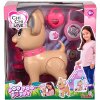 ChiChi Love: Chodiaci pes s príslušenstvom - Simba Toys