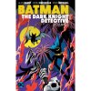DC Comics Batman: The Dark Knight Detective 5