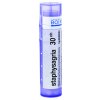 Staphysagria gra.1 x 4 g 30CH