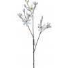 KONÁR MAGNÓLIA BIELA 102CM