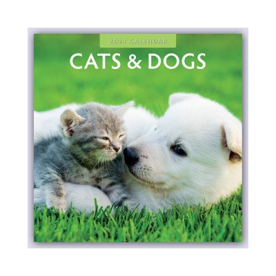 Cats & Dogs Katzen & Hunde 16-Monats 2024