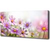 Foto obraz canvas Kvety na lúke 100x50 cm