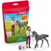 Schleich Horse Club Sada starostlivosti o kone s trakenským žriebäťom 42752