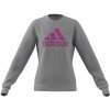 Sweatshirt adidas Big Logo Swt Jr IC6118 (116725) Black 164 cm