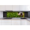 DIMEX | Dibond doska za kuchynskú linku | DBW-18060-038 Futbalová lopta | 180 x 60 cm + Dibond obkladová doska Dimex do kuchyne Futbalová lopta v rozmere 180 x 60 cm