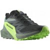 Topánky Salomon SENSE RIDE 5 L47311100 42