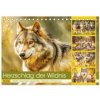 Herzschlag der Wildnis. Wölfe zwischen Legende, Freiheit und Anmut (Tischkalender 2026 DIN A5 quer), CALVENDO Monatskalender